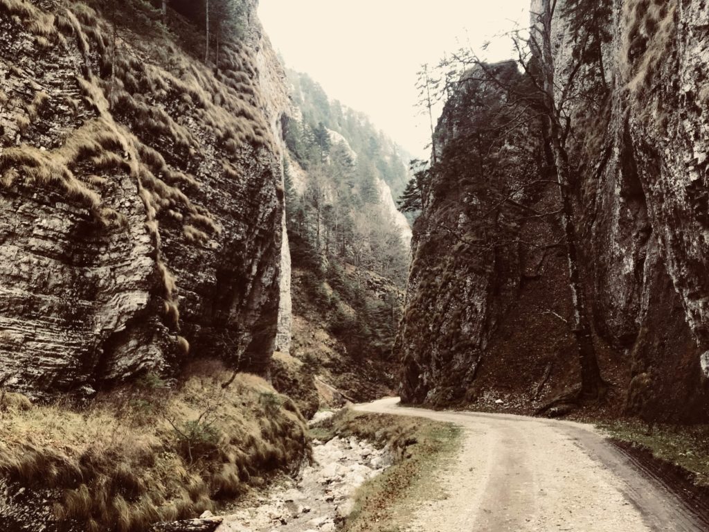 Ein Wanderweg im Canyon von Nationalpark Piatra Craiului in der Umgebung von Brașov