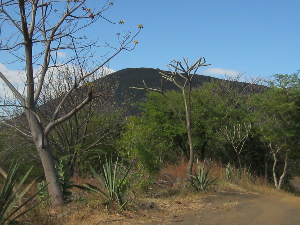 Cerro Negro mit Bäumen im Vordergrund